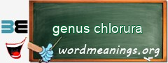 WordMeaning blackboard for genus chlorura